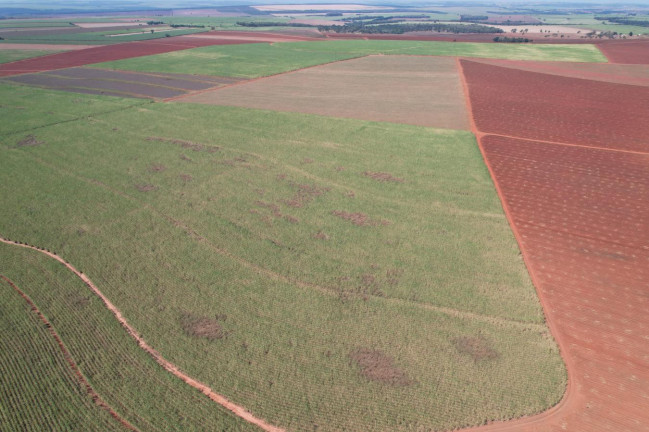 Imagem Fazenda à Venda, 64 m² em Zona Rural - Bariri Imagem Fazenda à Venda, 64 m² em Zona Rural - Bariri