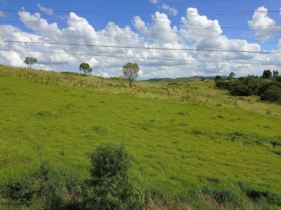 Imagem Apartamento com 2 Quartos à Venda, 55 m² em Loteamento Campo Das Aroeiras - Poços De Caldas Imagem Apartamento com 2 Quartos à Venda, 55 m² em Loteamento Campo Das Aroeiras - Poços De Caldas