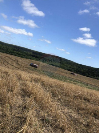 Imagem Fazenda à Venda, 825.000 m² em Zona Rural - Encruzilhada Do Sul Imagem Fazenda à Venda, 825.000 m² em Zona Rural - Encruzilhada Do Sul