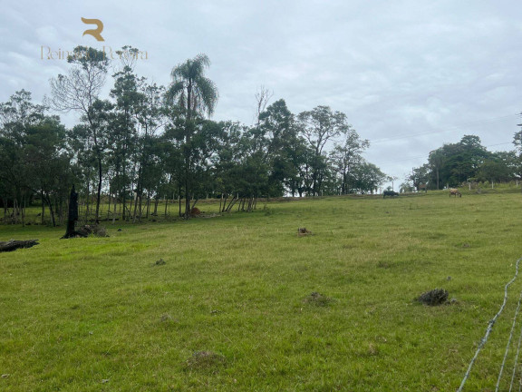 Imagem Chácara com 2 Quartos à Venda, 32.000 m² em Fazenda Fialho - Taquara Imagem Chácara com 2 Quartos à Venda, 32.000 m² em Fazenda Fialho - Taquara