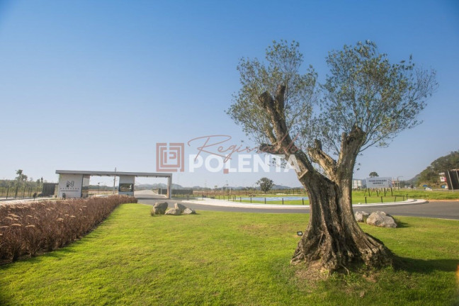 Terreno à Venda, 1.880 m² em Gravatá - Navegantes