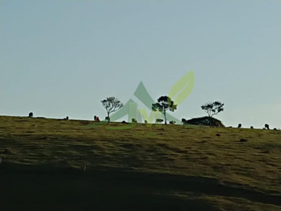 Imagem Fazenda à Venda, 1.573.000 m² em Centro - Joanópolis Imagem Fazenda à Venda, 1.573.000 m² em Centro - Joanópolis