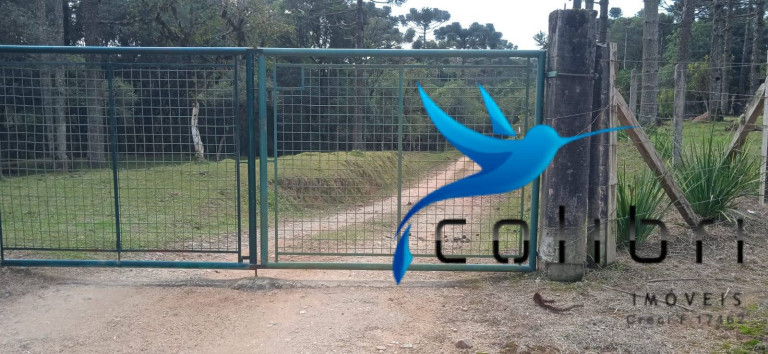 Imagem Chácara com 1 Quarto à Venda, 89.620 m² em Pedra Branca - Agudos Do Sul Imagem Chácara com 1 Quarto à Venda, 89.620 m² em Pedra Branca - Agudos Do Sul