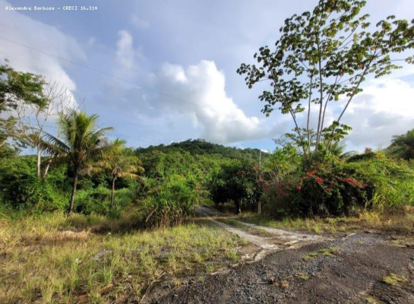 Imagem Terreno à Venda, 4 m² em Cabo - Cabo De Santo Agostinho Imagem Terreno à Venda, 4 m² em Cabo - Cabo De Santo Agostinho