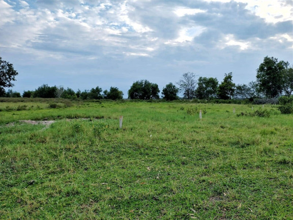 Imagem Chácara com 20 Quartos à Venda, 90 m² em Aterrado Do Imburo - Macaé