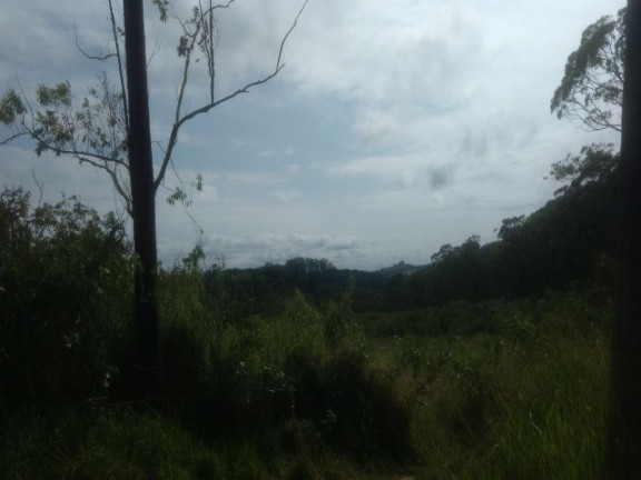 Imagem Terreno à Venda, 55.000 m² em Colônia (zona Leste) - São Paulo