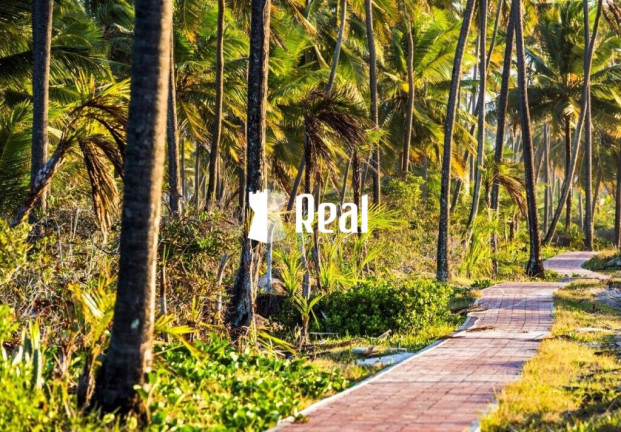 Imagem Terreno à Venda, 630 m² em Praia Do Forte - Mata De São João