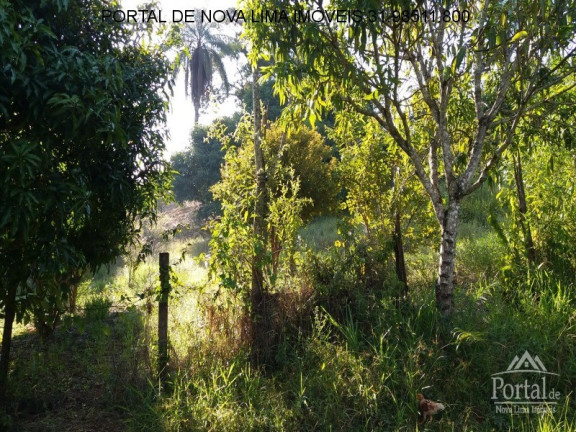 Imagem Terreno à Venda, 2.000 m² em Bela Fama - Nova Lima