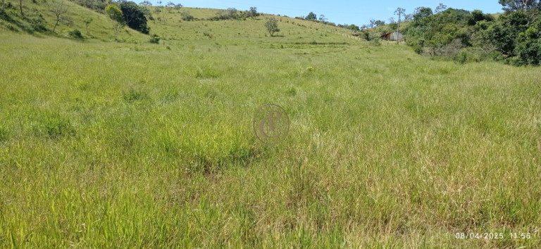 Imagem Chácara à Venda, 63.000 m² em Centro - Santa Branca Imagem Chácara à Venda, 63.000 m² em Centro - Santa Branca