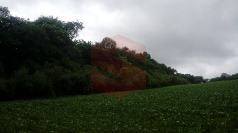 Imagem Chácara com 1 Quarto à Venda, 1 m² em Morro Do Cal - Campo Largo