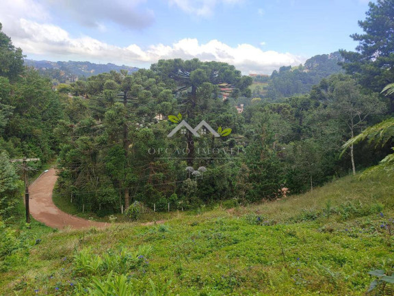 Imagem Terreno à Venda, 1 m² em Jardim Embaixador - Campos Do Jordão Imagem Terreno à Venda, 1 m² em Jardim Embaixador - Campos Do Jordão