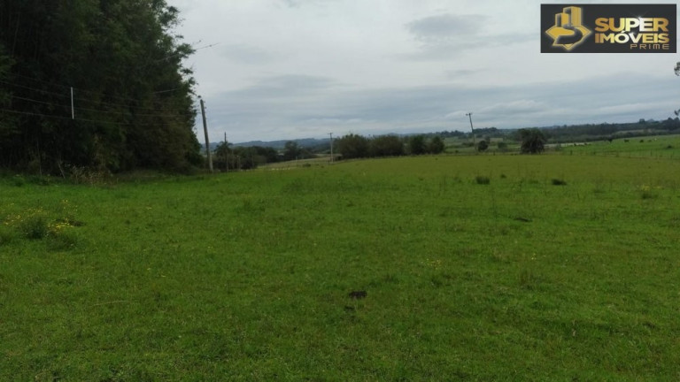 Imagem Imóvel com 3 Quartos à Venda, 660.000 m² em Zona Rural - Capão Do Leão