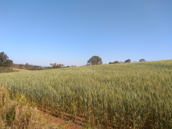 Imagem Fazenda à Venda, 46 m² em Rural - Arandu Imagem Fazenda à Venda, 46 m² em Rural - Arandu