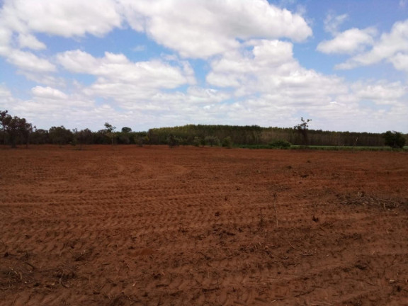 Imagem Fazenda à Venda, 32 m² em Rural - Bauru Imagem Fazenda à Venda, 32 m² em Rural - Bauru