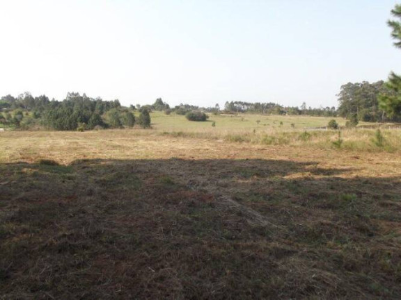 Imagem Terreno à Venda, 80.000 m² em águas Claras - Viamão