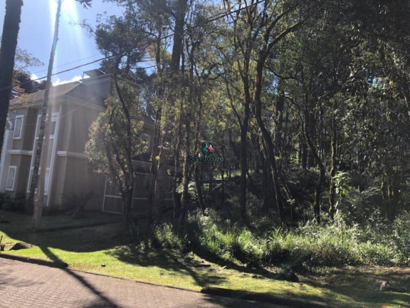 Imagem Terreno à Venda, 744 m² em Pinheiro Grosso - Canela Imagem Terreno à Venda, 744 m² em Pinheiro Grosso - Canela