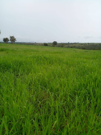 Imagem Fazenda à Venda, 32 m² em Zona Rural - Bom Jardim De Goiás Imagem Fazenda à Venda, 32 m² em Zona Rural - Bom Jardim De Goiás