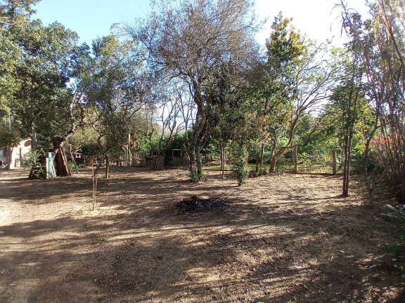 Imagem Chácara com 3 Quartos à Venda, 1.600 m² em águas Claras - Viamão