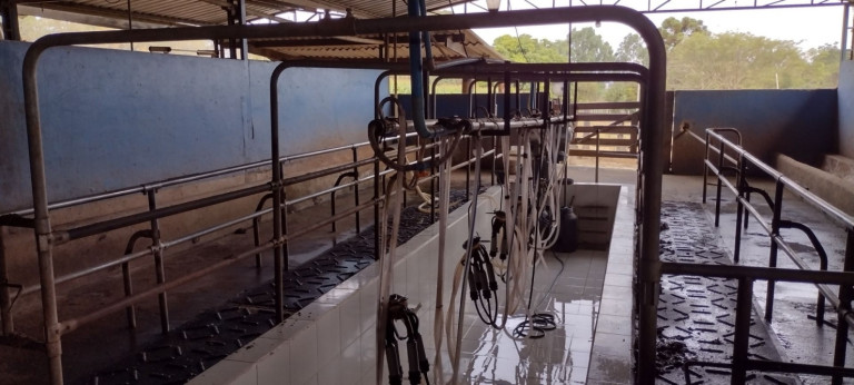Imagem Fazenda à Venda, 100 m² em São Francisco - Passos Imagem Fazenda à Venda, 100 m² em São Francisco - Passos