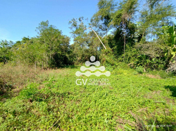 Imagem Terreno à Venda, 1.656 m² em Praia Dura - Ubatuba Imagem Terreno à Venda, 1.656 m² em Praia Dura - Ubatuba