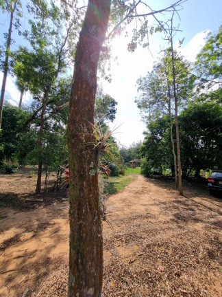 Imagem Chácara com 3 Quartos à Venda, 46 m² em Cercadinho - Alambari Imagem Chácara com 3 Quartos à Venda, 46 m² em Cercadinho - Alambari