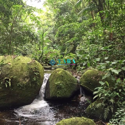 Imagem Casa com 5 Quartos à Venda, 400 m² em Ilhabela