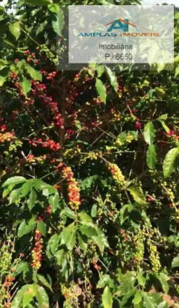 Imagem Fazenda à Venda, 35 m² em Manhumirim