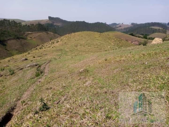Imagem Chácara com 2 Quartos à Venda, 14.000 m² em Centro - Igaratá