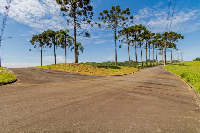 Imagem Terreno à Venda, 815 m² em Ferraria - Campo Largo Imagem Terreno à Venda, 815 m² em Ferraria - Campo Largo