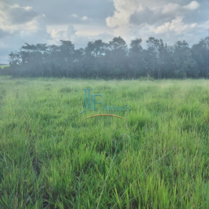 Imagem Imóvel com 4 Quartos à Venda, 105.000 m² em Centro - Cajuru Imagem Imóvel com 4 Quartos à Venda, 105.000 m² em Centro - Cajuru