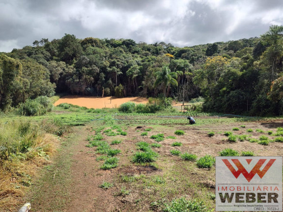 Imagem Chácara com 3 Quartos à Venda, 22.000 m² em Bairro Verava - Ibiúna Imagem Chácara com 3 Quartos à Venda, 22.000 m² em Bairro Verava - Ibiúna
