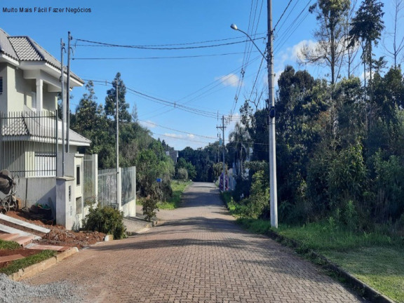Imagem Casa com 2 Quartos à Venda, 64 m² em Recanto Dos Plátanos - Nova Petrópolis Imagem Casa com 2 Quartos à Venda, 64 m² em Recanto Dos Plátanos - Nova Petrópolis