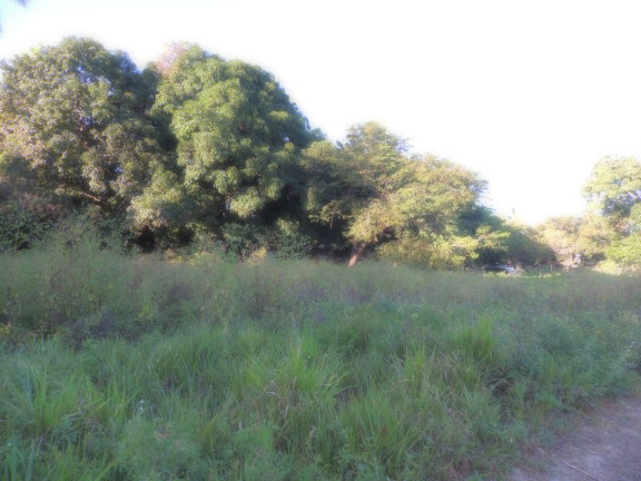 Imagem Terreno à Venda, 13 m² em Camará - Aquiraz