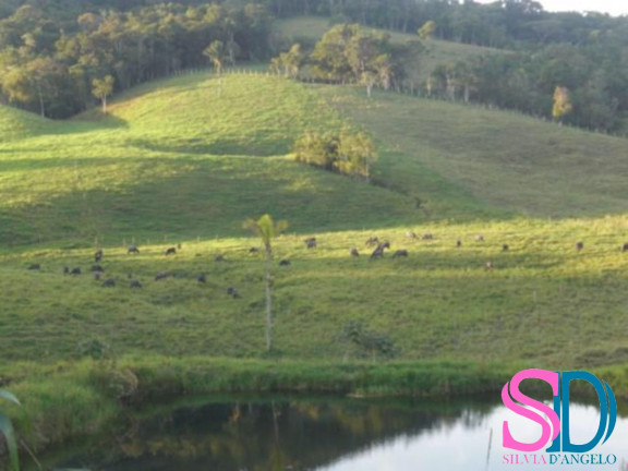 Imagem Fazenda à Venda, 194 m² em Vila Aparecida - Suzano Imagem Fazenda à Venda, 194 m² em Vila Aparecida - Suzano