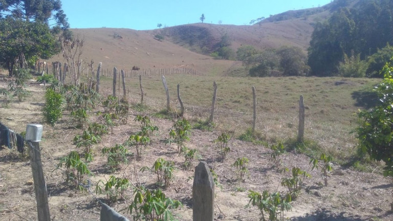Imagem Fazenda à Venda, 100 m² em Vila Rica - Cunha Imagem Fazenda à Venda, 100 m² em Vila Rica - Cunha