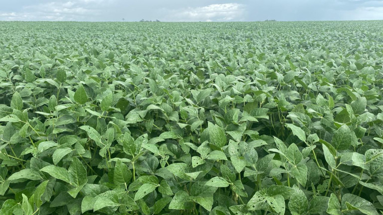 Imagem Fazenda à Venda, 963 m² em Rural - Rosário Oeste