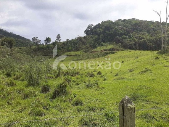 Imagem Fazenda à Venda, 500 m² em Cedro - Paraibuna Imagem Fazenda à Venda, 500 m² em Cedro - Paraibuna