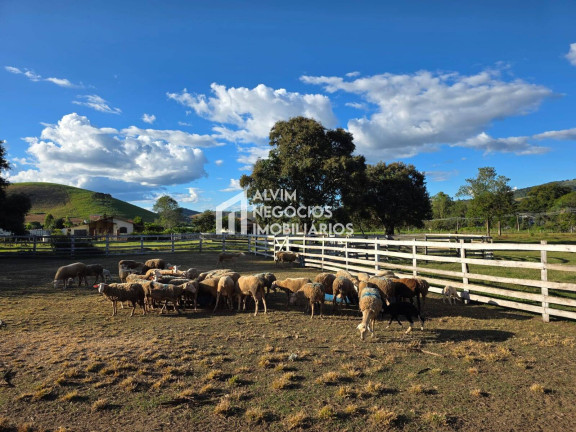 Imagem Chácara com 3 Quartos à Venda, 53.000 m² em Estrada Jardim - Itanhandu Imagem Chácara com 3 Quartos à Venda, 53.000 m² em Estrada Jardim - Itanhandu