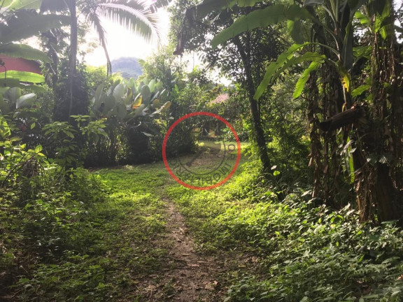 Imagem Terreno à Venda, 500 m² em Boiçucanga - São Sebastião Imagem Terreno à Venda, 500 m² em Boiçucanga - São Sebastião