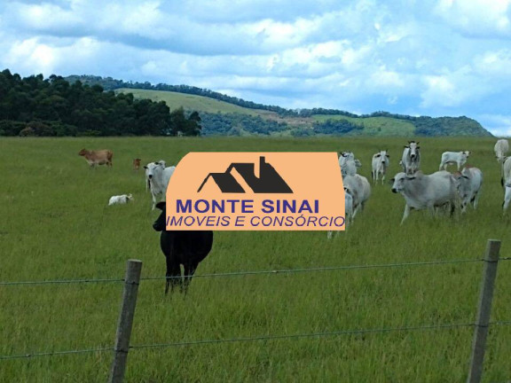 Imagem Fazenda à Venda, 59 m² em Centro - Guareí