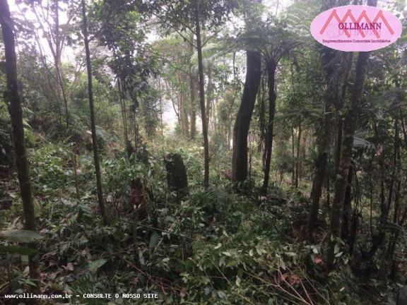 Imagem Terreno à Venda, 1.695 m² em Chácara Carreiras - Santo André