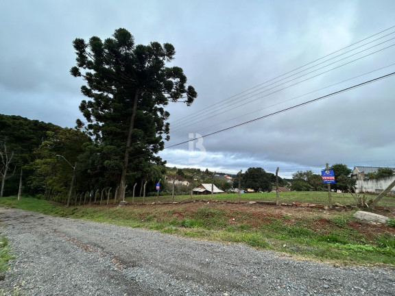 Imagem Terreno à Venda, 2.600 m² em Vila Bancária - Campo Largo Imagem Terreno à Venda, 2.600 m² em Vila Bancária - Campo Largo