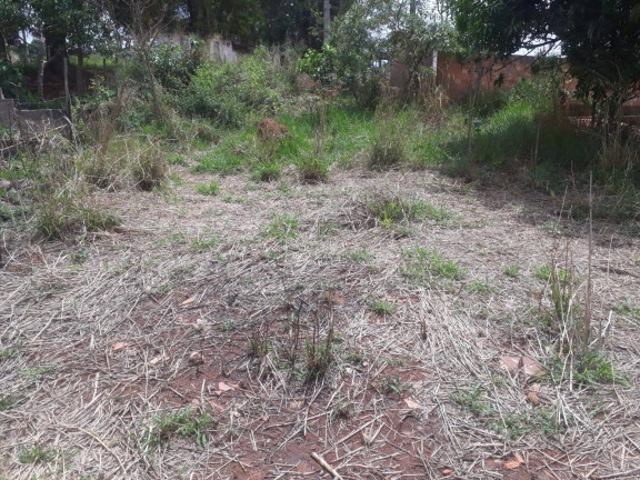 Imagem Terreno à Venda, 240 m² em Santa Terezinha De Minas - Itatiaiuçu Imagem Terreno à Venda, 240 m² em Santa Terezinha De Minas - Itatiaiuçu