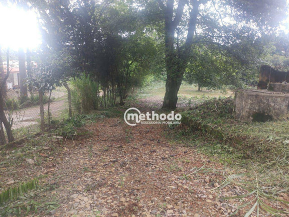 Imagem Terreno à Venda ou Locação, 3.102 m² em Vila Ipê - Campinas Imagem Terreno à Venda ou Locação, 3.102 m² em Vila Ipê - Campinas