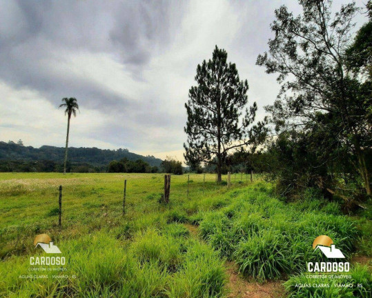 Imagem Fazenda à Venda, 125.000 m² em águas Claras - Viamão Imagem Fazenda à Venda, 125.000 m² em águas Claras - Viamão