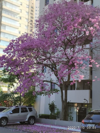 Imagem Imóvel com 3 Quartos à Venda, 71 m² em Vila Firmiano Pinto - São Paulo