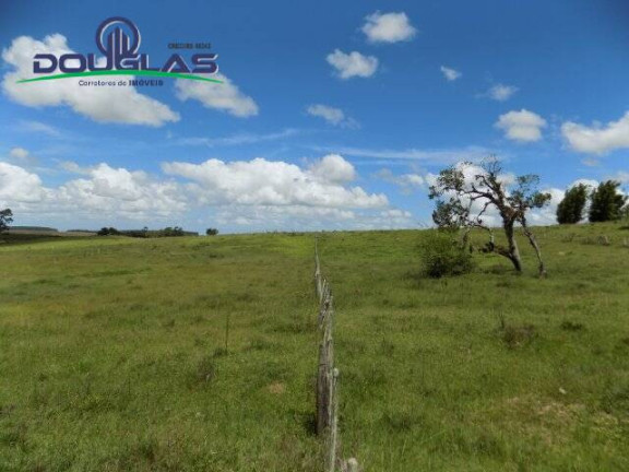 Imagem Chácara com 2 Quartos à Venda, 190.000 m² em Viamão