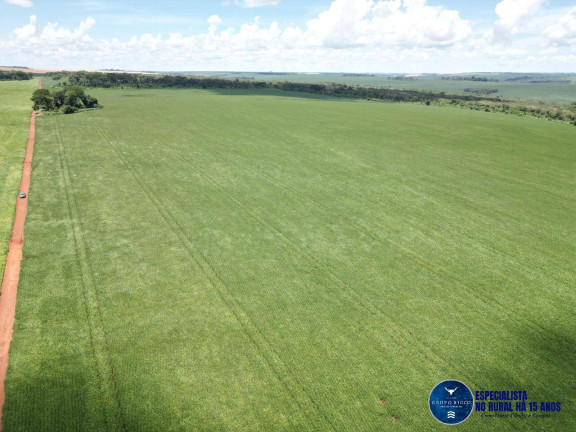 Imagem Fazenda à Venda, 174 m² em Zona Rural - Rio Verde Imagem Fazenda à Venda, 174 m² em Zona Rural - Rio Verde