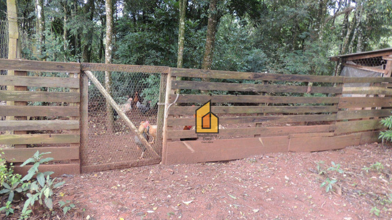 Imagem Chácara com 2 Quartos à Venda, 171 m² em Colônia Cristina - Araucária