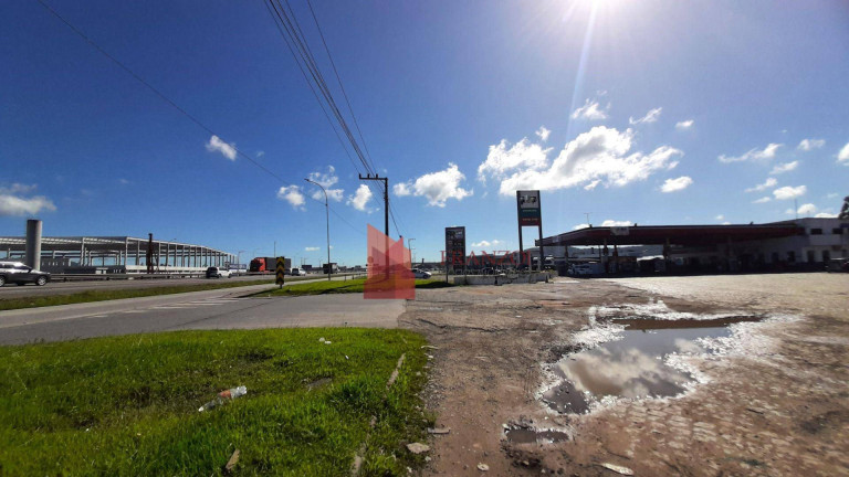 Imagem Terreno à Venda, 10.000 m² em Salseiros - Itajaí Imagem Terreno à Venda, 10.000 m² em Salseiros - Itajaí
